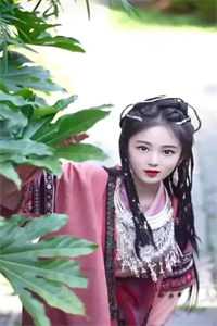 从此候鸟无归期已完结版