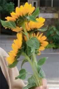 人在古代，权贵步步强夺完结txt