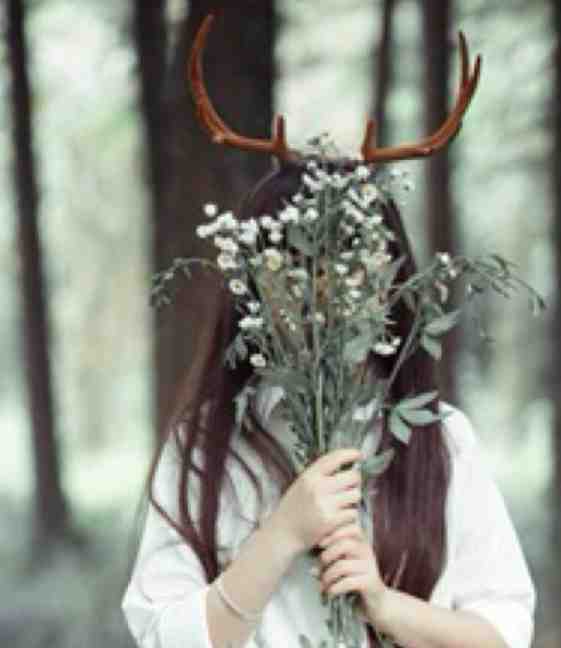 无句不忆韶华全本小说推荐