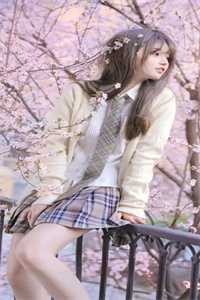 穿成老鸨后，买来的小倌是御史！免费看