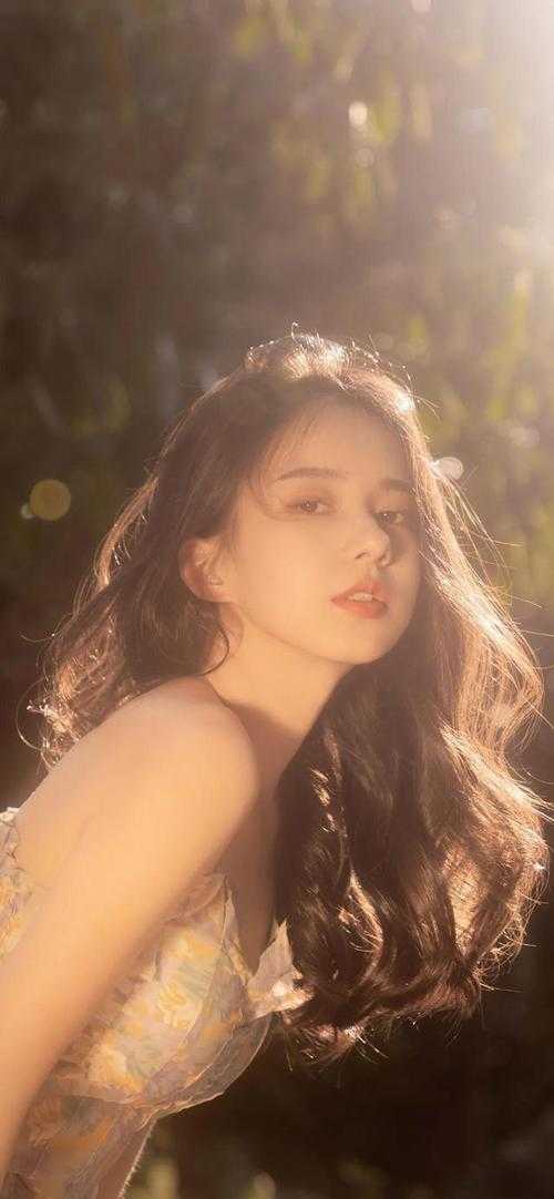 晚风未及你眼底优质全文阅读