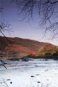 女秘书见义勇为射杀了人质婆婆，老公却说死的是我亲妈全文+后续