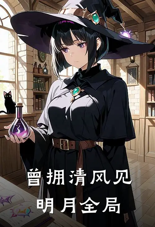曾拥清风见明月全局
