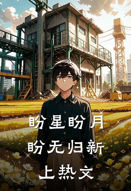 盼星盼月盼无归新上热文