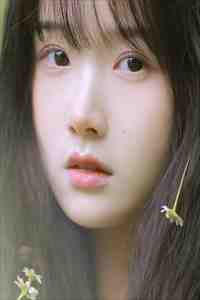 君不知，江南好火爆小说