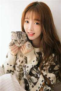 恰逢骤雨遇黎明最完整版