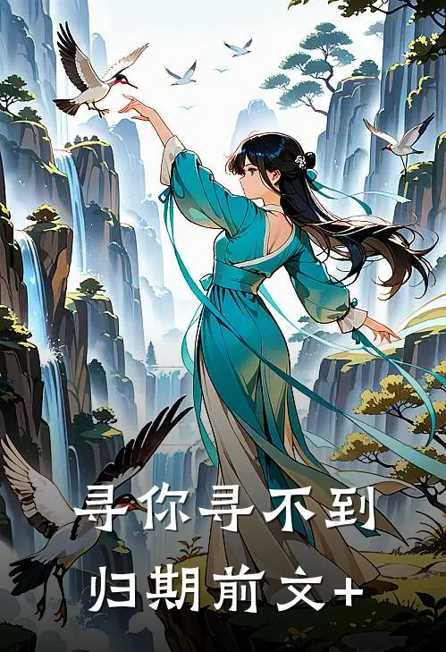 寻你寻不到归期前文+