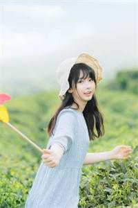 假如我不曾爱过你宋砚泽林之意后续+全文