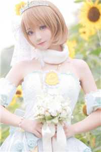 白切黑少女上位，哥哥他输得彻底陈尔郁驰洲完结文