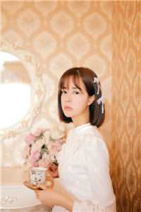 杨过：这次，换我来守护桃花岛已完结版