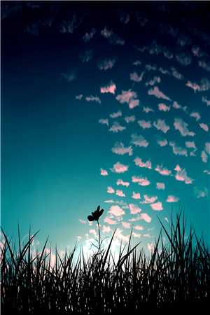 长阶雪覆玉京春全文免费阅读