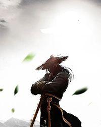 一念风止，一晌贪欢小说完结