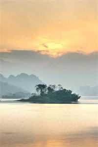 法医妻子为实习生做伪证，我转身反杀！霍昭昭杨毅后续+全文