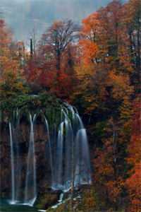 把房子让给妹妹住后，邻居们都后悔疯了完整文集阅读