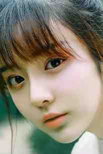 港风不渡旧时樱全本小说推荐