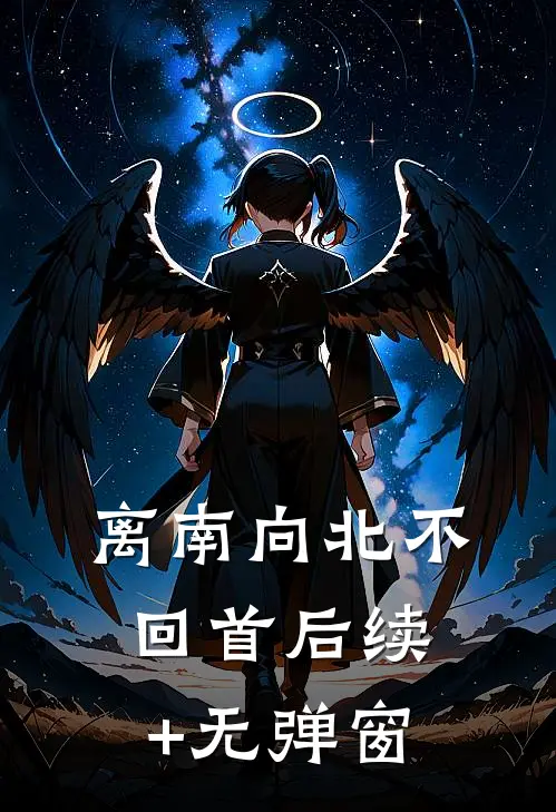 离南向北不回首后续+无弹窗