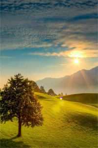 我妈用APP操控我的人生，我死后她却悔疯了精选