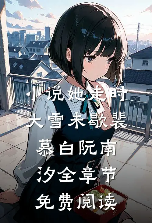 小说她走时大雪未歇裴慕白阮南汐全章节免费阅读