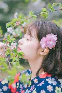 春风难覆桃花雪前言+后续