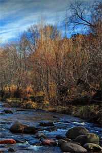 不要惹炮灰，她有玉玉症免费阅读