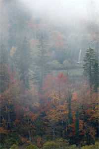 来不及最后一次道别未删节