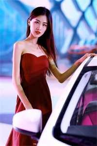 爸爸，向日葵又盛开了全文无删减