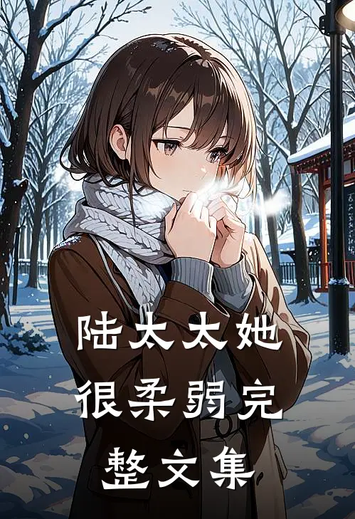 陆太太她很柔弱完整文集