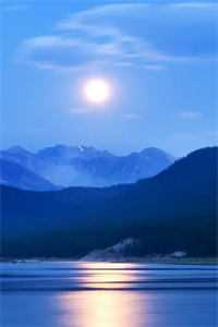 春风难覆桃花雪番外